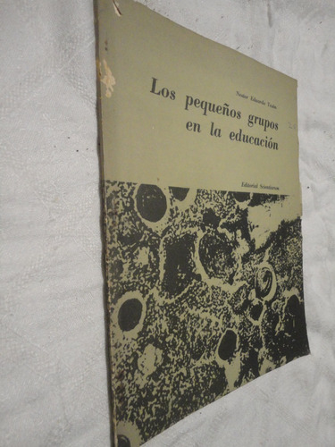 Los Pequeños Grupos En La Eduacion - Nestor Teson