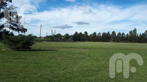 Imagen 1 de 4 de Terreno - La Plata