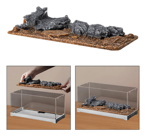 Decoración De Paisajismo De Peces, Accesorios De De Xuanwu