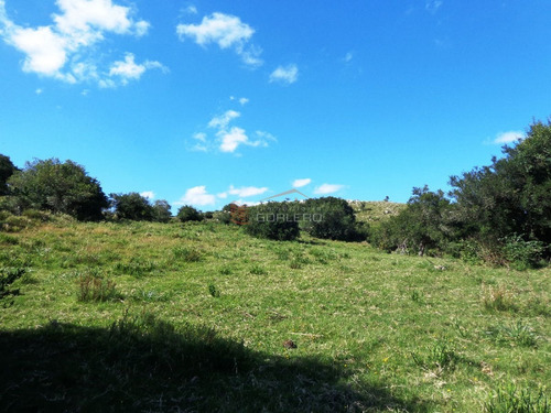 17 Has, Vistas Serranas, Monte Nativo, Arroyo Y A 1 Hora De Mdeo...- Ref: 26461