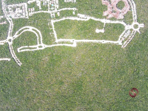 Imagen 10 de 12 de Terreno En Venta Aldea Zama Tulum