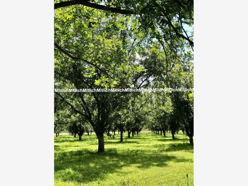 Imagen 11 de 12 de Rancho En Venta Ciudad Camargo Centro