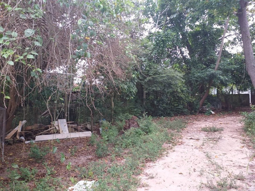 Imagem 13 de 15 de Terreno - Campeche - Ref: 1973 - V-2010