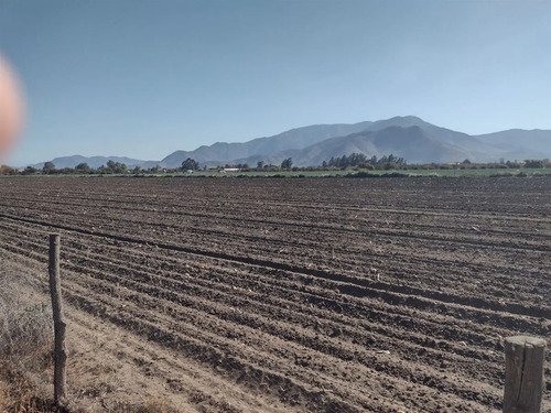 Agrícola En Venta En Lampa