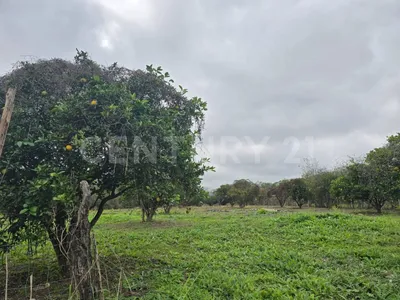 Terreno en venta