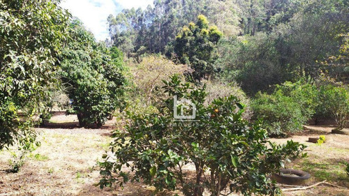 Imagem 20 de 30 de Linda Chácara Em Marechal Floriano Com Área Total De 8642m²! - Ch0004