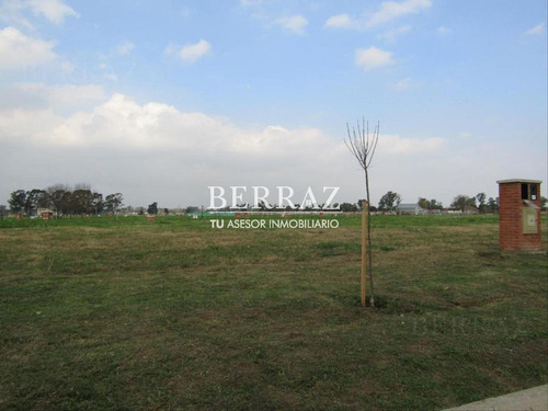 Imagen 16 de 20 de Venta Lote Santo Tomás Pilar