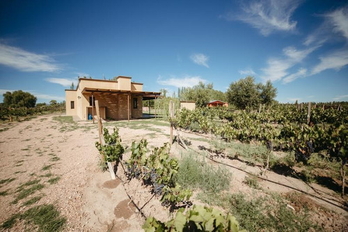 Imagen 30 de 30 de Hermosa Casa Con Viñedos Y Pileta - Miraviñas