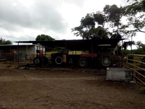 Imagen 7 de 27 de Se Vende Finca En Caicara De Maturin Sec Bajo Gde Ve02-1143cai-mtru