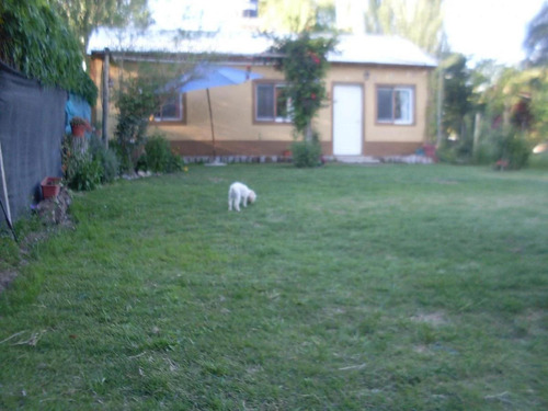 Casa En Venta - 3 Dormitorios 2 Baños - Mendoza