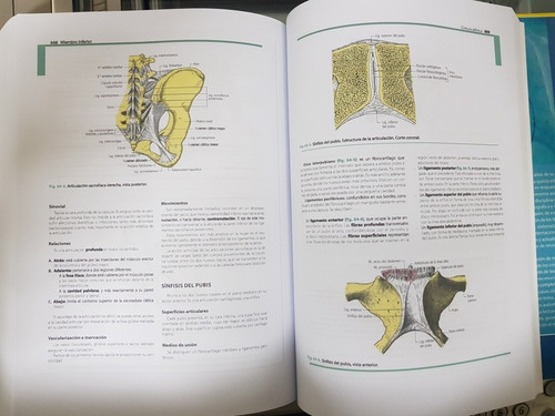 Libro Anatomia Humana Latarjet 2 Tomos (5ta Edición) A4
