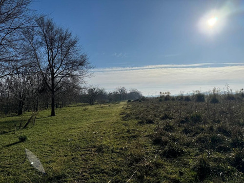 Campo En Venta En Pilar. Zona Champagnat