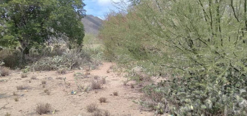 Imagen 6 de 9 de Terreno En Sector El Tuey, San Juan Bautista, Municipio Díaz