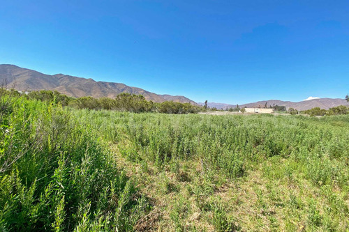 Imagen 8 de 12 de Se Vende Terreno En Fundo La Calera Vicuña