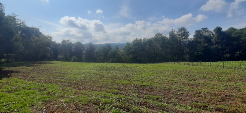 Venta Terreno Huauchinango Excelente Para Sembrar O Construir Cabañas, En Zona Tranquila Y Llena De Naturaleza (negociable)