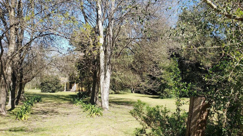 Oportunidad Casa 7500 M2 Sobre 2 Lotes - Abasto