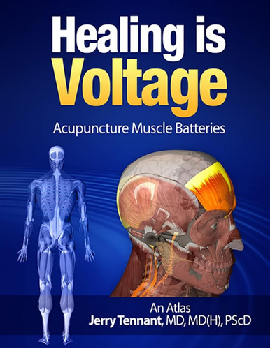 Libro:  Healing Is Voltage: Acupuncture Muscle Batteries
