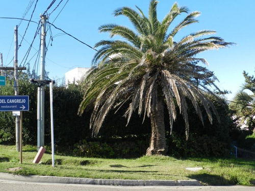 2 Lotes Para Locales