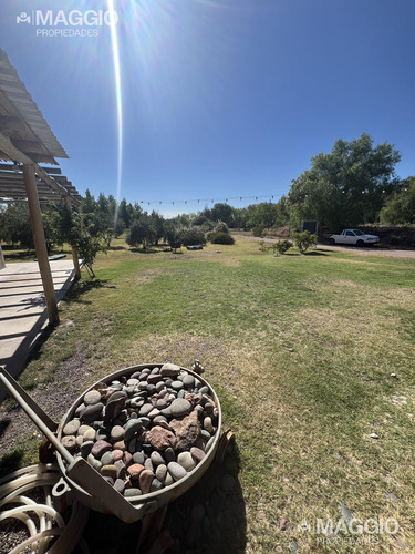 Finca En Cuadro Benegas