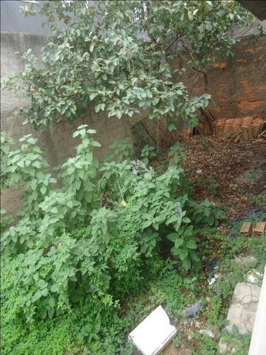 Imagem 13 de 13 de Casas - Venda - Jardim Malta - Cod. Ca0452 - Vca0452