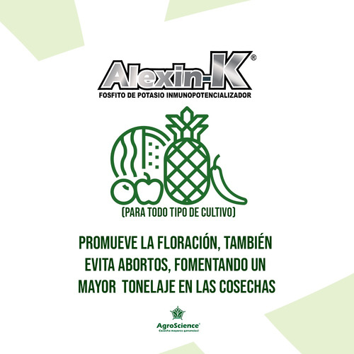 Alexin K (12unidades De 1l) Oferta Limitada