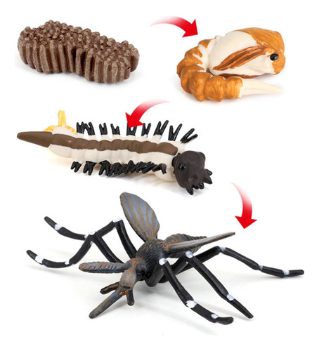2 Figuras De Crecimiento De Mosquitos Y Insectos Para Niños