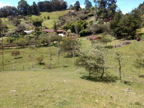 Lote En Venta En Rionegro