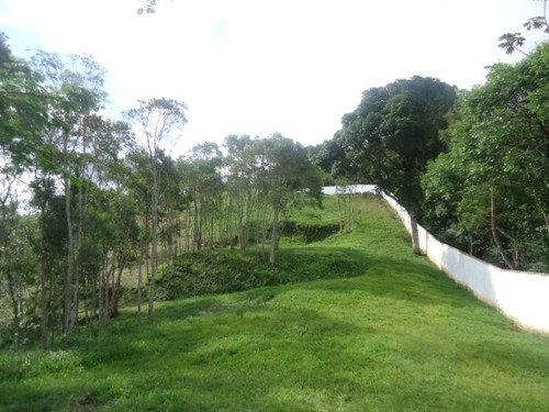 Imagem 9 de 12 de Oportunidade Terrenos Para Lazer Ou Moradia Ref 1133