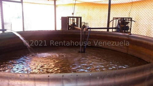Imagen 5 de 24 de Angelica Nati Rent A House Finca En Venta Vallecito Tinaquillo Cojedes Cod 22m6016 Ar