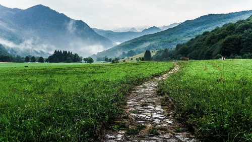 Llanta 100/90-17 Y 2.50-17=a80/90-17 Chaoyang Uso Sin Cámara