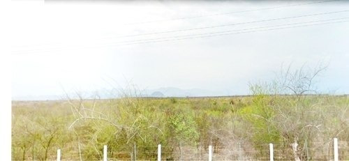 Imagen 1 de 4 de Se Venden Dos Terrenos, Elota