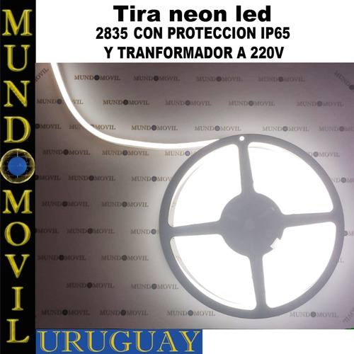 Tira Luces Led Neón Flex Cinta 5 Mt Ip65  + Transformador