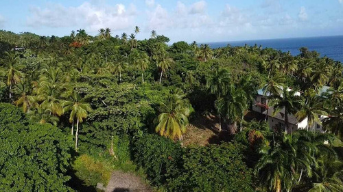 Venta Terreno En Primera Linea De Playa En Samaná Republica Dominicana