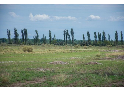 Venta Terreno / Lote El Cerrito