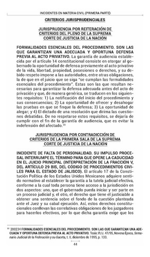 Incidentes En Materia Civil (primera Parte) (falta De Personalidad Y Nulidad De Actuaciones, Defecto En El Emplazamiento)