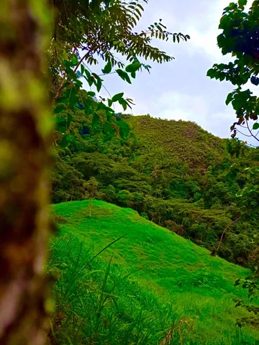 Finca En La Palma Cundinamarca