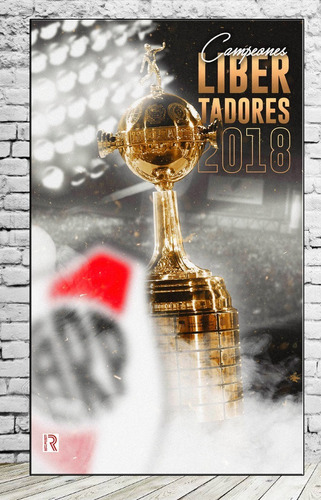Cuadros River Plate Campeon Libertadores 30x57 Habitacion 