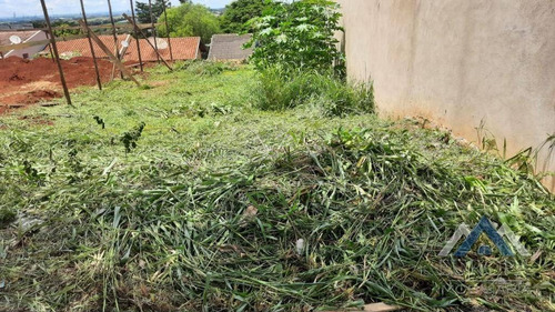 Imagem 3 de 6 de Terreno À Venda, 200 M² Por R$ 100.000,00 - Jardim Colúmbia D - Londrina/pr - Te0475