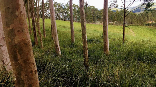V16- Terrenos De 1000m Em Igaratá