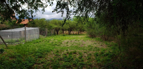Imagen 2 de 10 de Lote Para Animarse Al Gran Cambio!!! 550 Mt2 Servicios