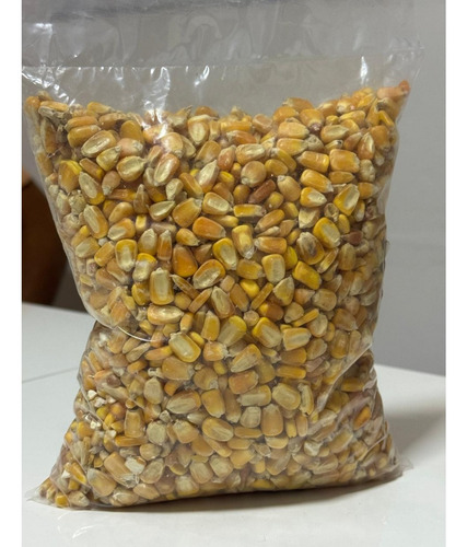 1 Kit Com 10 Pacotes De Milho De 1kg Cada Pacote