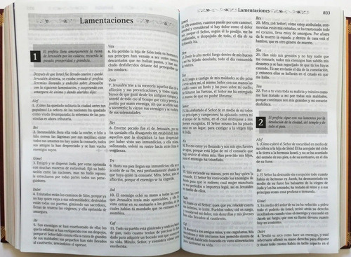 Sagrada Biblia Católica Familiar Cristiana - Edición De Lujo