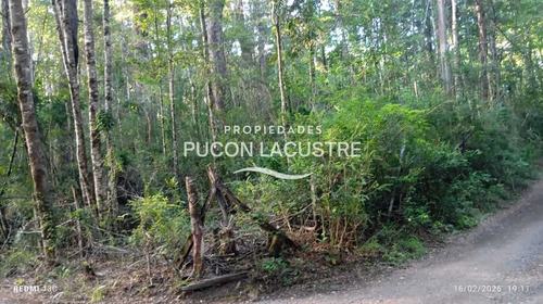 Parcela A Minutos Del Lago Caburgua (171361)