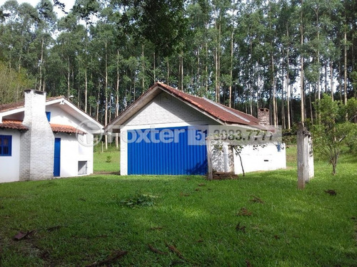 Imagem 4 de 6 de Fazenda / Sítio / Chácara, 259967 M², Coqueiros - 182458