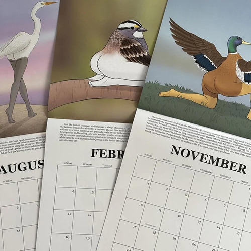 Calendario De Pared Para El Año 2024 Con Pájaros Extremadame