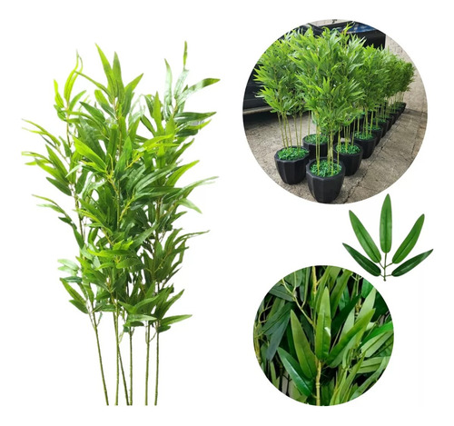 Kit 10 Haste Bambu Da Sorte Artificial Grande Arranjo Verde