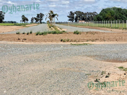 Imagen 3 de 18 de Oferta - Venta Lote En Tres Pinos - Gral. Rodriguez.