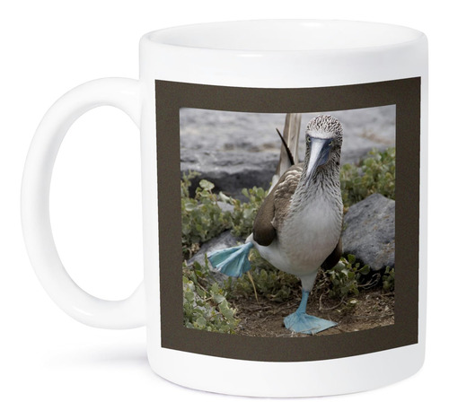 Taza Cerámica Patas Azules Ecuador Galápagos 325 Ml Blanca