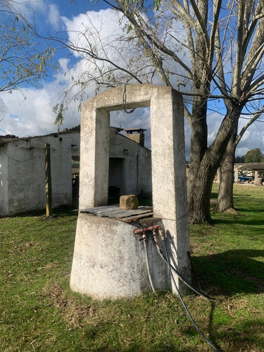 Gran Oportunidad, Chacra Tala, Canelones 200 Mts De La Ruta 7