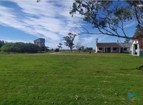 Campo Arrocero-ganadero 1.636 Has Sobre Ruta
